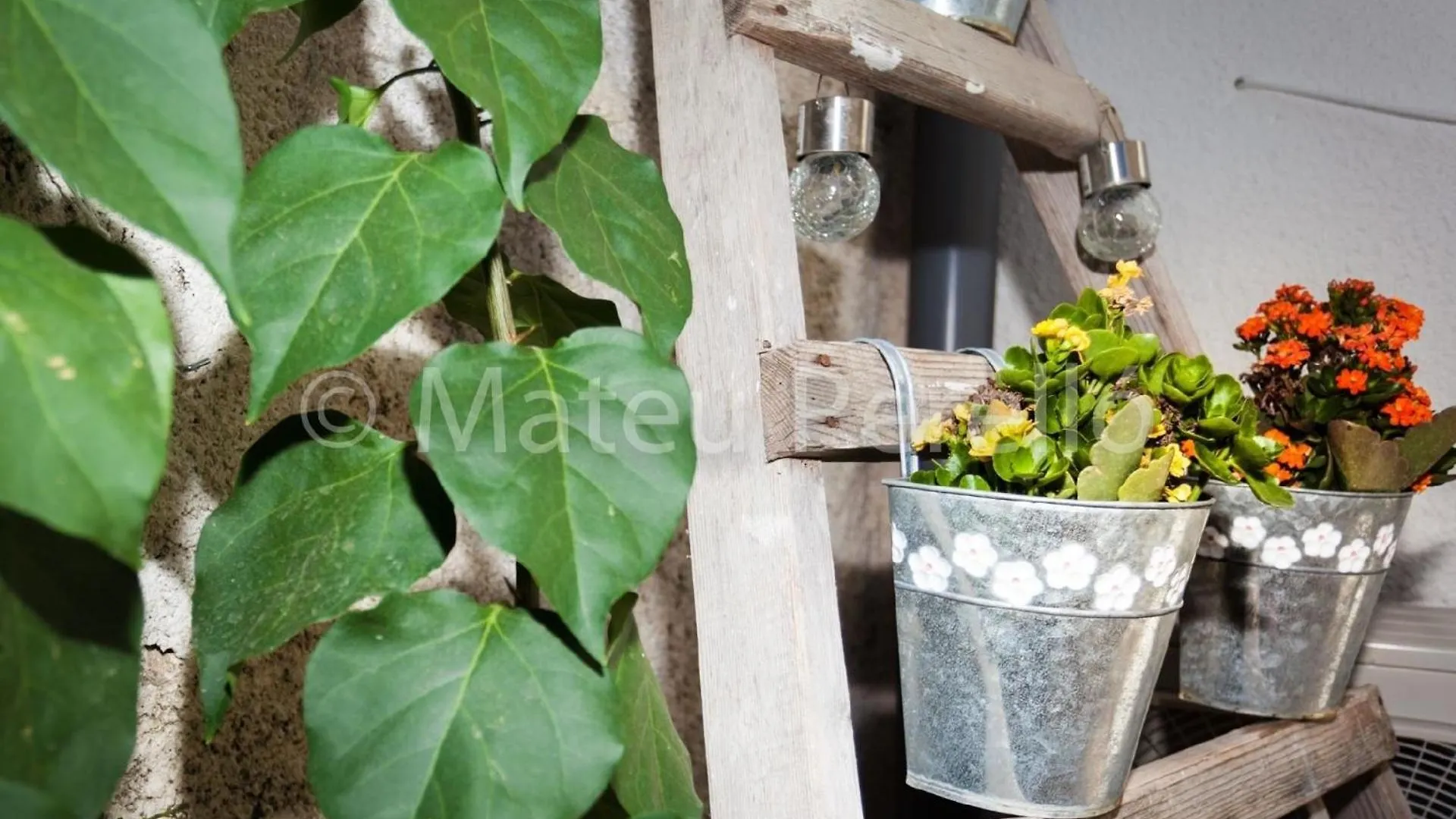 Ferienhaus In Santa Margalida Mit Kleinem Pool Holiday home